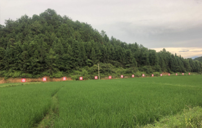 基地展示