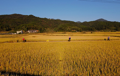 基地展示