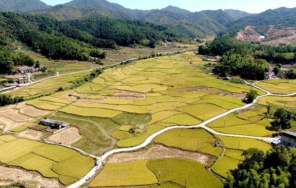 基地展示