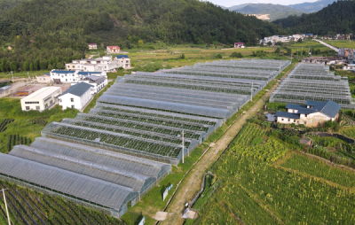 基地展示